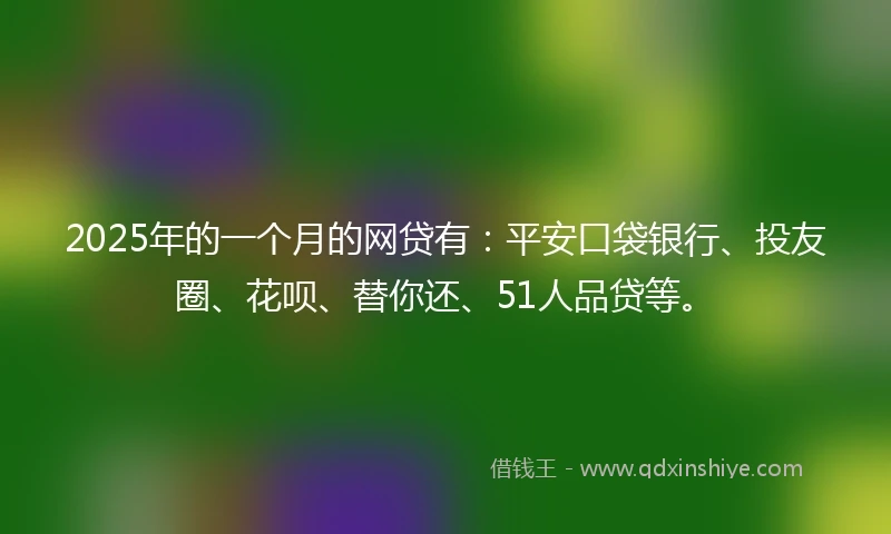 2025年的一个月的网贷有：平安口袋银行、投友圈、花呗、替你还、51人品贷等。