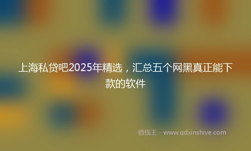 上海私贷吧2025年精选，汇总五个网黑真正能下款的软件