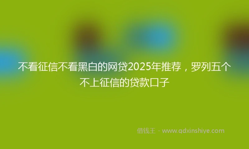 不看征信不看黑白的网贷2025年推荐，罗列五个不上征信的贷款口子