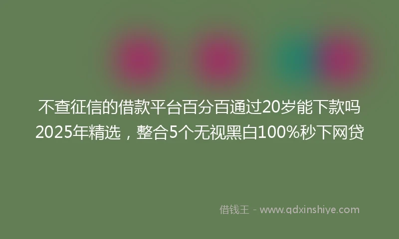 不查征信的借款平台百分百通过20岁能下款吗2025年精选，整合5个无视黑白100%秒下网贷