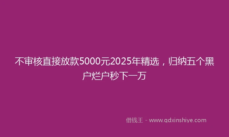 不审核直接放款5000元2025年精选，归纳五个黑户烂户秒下一万