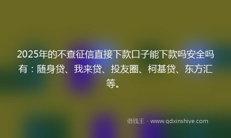 2025年的不查征信直接下款口子能下款吗安全吗有：随身贷、我来贷、投友圈、柯基贷、东方汇等。