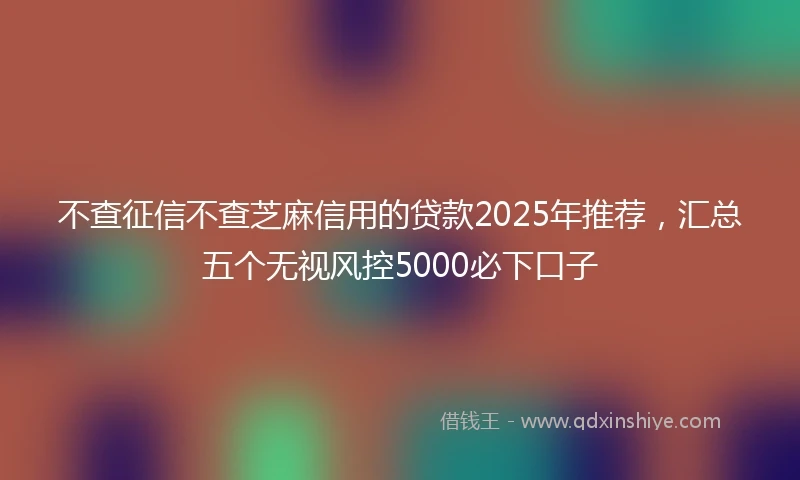 不查征信不查芝麻信用的贷款2025年推荐，汇总五个无视风控5000必下口子