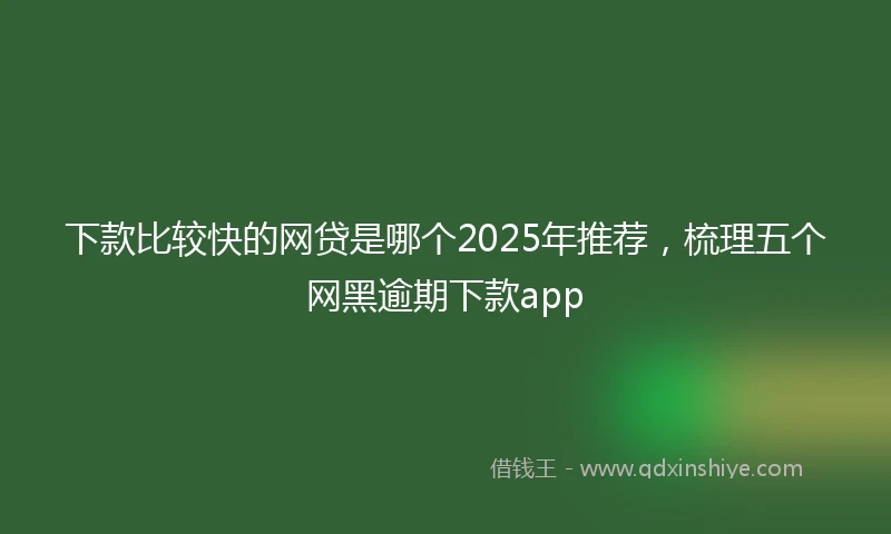 下款比较快的网贷是哪个2025年推荐，梳理五个网黑逾期下款app