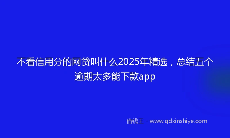 不看信用分的网贷叫什么2025年精选，总结五个逾期太多能下款app