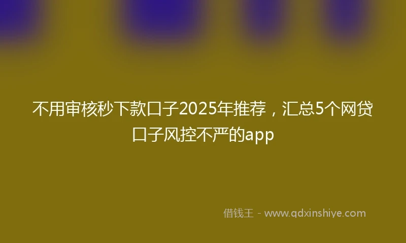 不用审核秒下款口子2025年推荐，汇总5个网贷口子风控不严的app