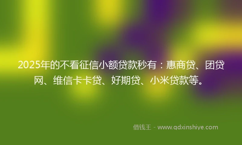 2025年的不看征信小额贷款秒有：惠商贷、团贷网、维信卡卡贷、好期贷、小米贷款等。