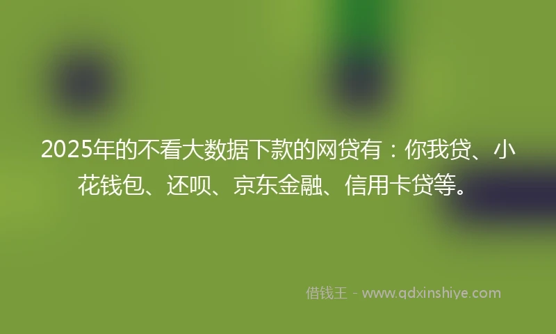 2025年的不看大数据下款的网贷有：你我贷、小花钱包、还呗、京东金融、信用卡贷等。