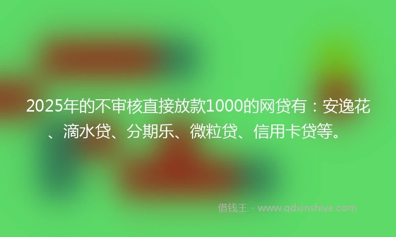 2025年的不审核直接放款1000的网贷有：安逸花、滴水贷、分期乐、微粒贷、信用卡贷等。