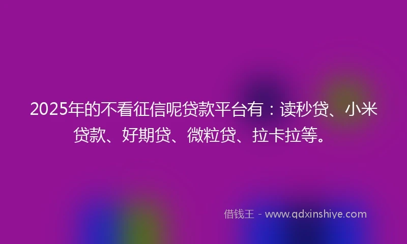 2025年的不看征信呢贷款平台有：读秒贷、小米贷款、好期贷、微粒贷、拉卡拉等。
