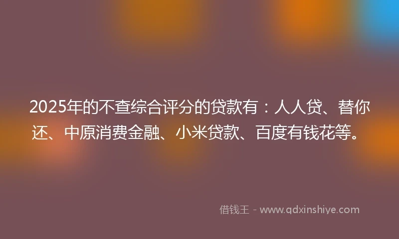 2025年的不查综合评分的贷款有：人人贷、替你还、中原消费金融、小米贷款、百度有钱花等。