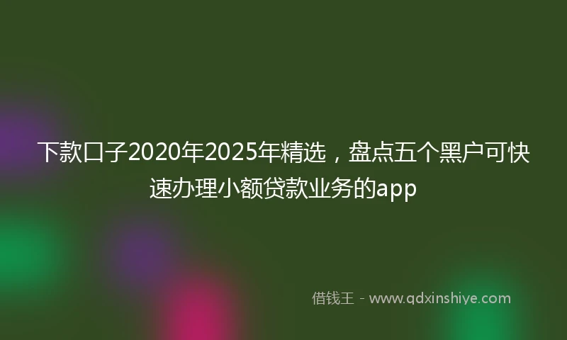 下款口子2020年2025年精选,盘点五个黑户可快速办理小额贷款业务的app