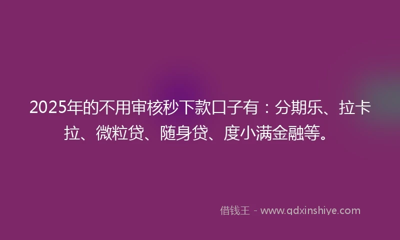 2025年的不用审核秒下款口子有：分期乐、拉卡拉、微粒贷、随身贷、度小满金融等。