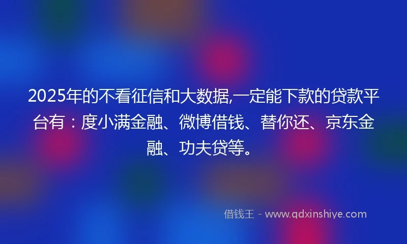 2025年的不看征信和大数据,一定能下款的贷款平台有：度小满金融、微博借钱、替你还、京东金融、功夫贷等。
