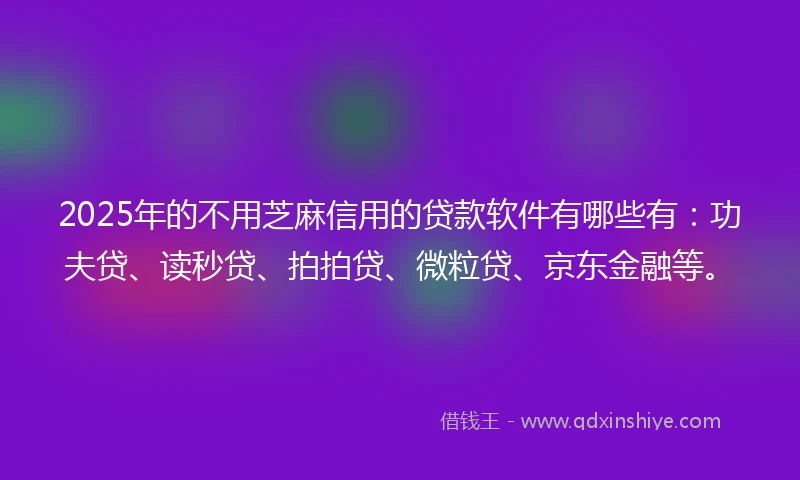 2025年的不用芝麻信用的贷款软件有哪些有：功夫贷、读秒贷、拍拍贷、微粒贷、京东金融等。