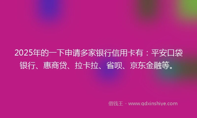 2025年的一下申请多家银行信用卡有：平安口袋银行、惠商贷、拉卡拉、省呗、京东金融等。