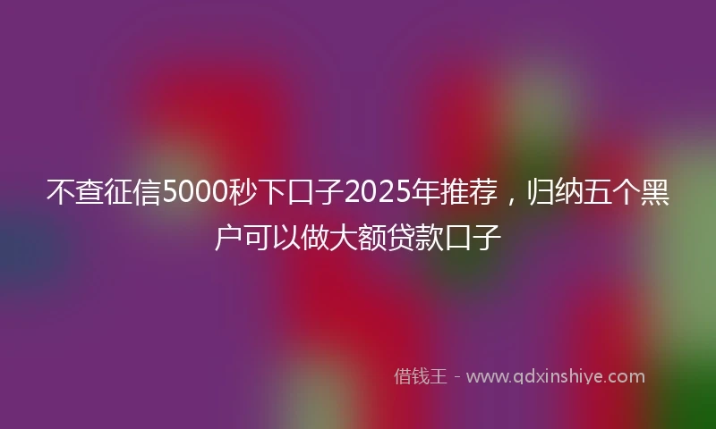 不查征信5000秒下口子2025年推荐，归纳五个黑户可以做大额贷款口子