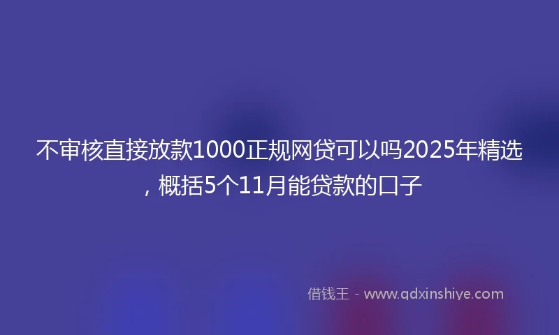 不审核直接放款1000正规网贷可以吗2025年精选，概括5个11月能贷款的口子