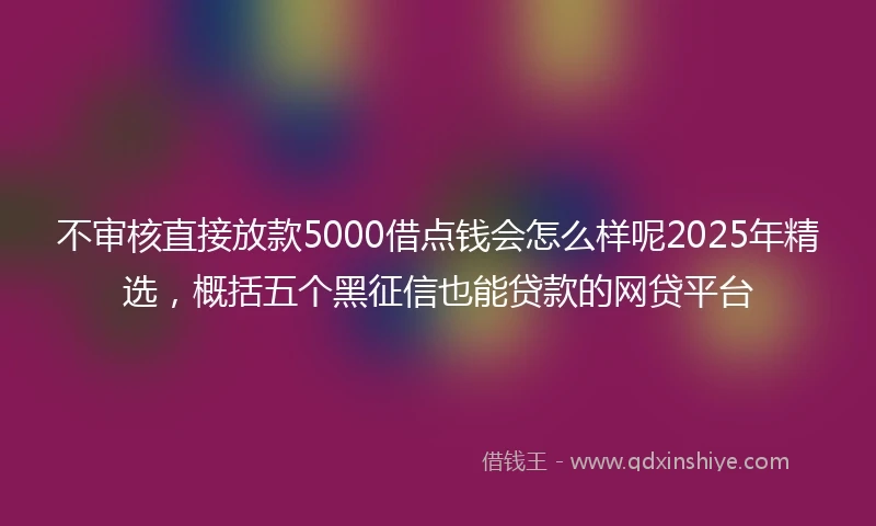 不审核直接放款5000借点钱会怎么样呢2025年精选，概括五个黑征信也能贷款的网贷平台