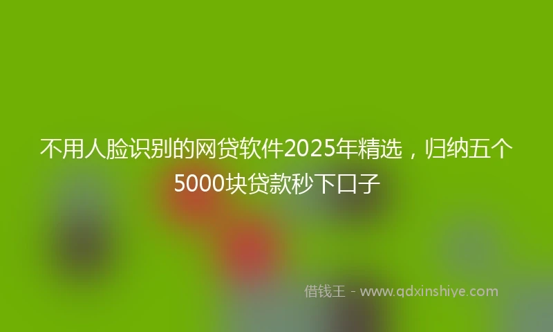 不用人脸识别的网贷软件2025年精选，归纳五个5000块贷款秒下口子