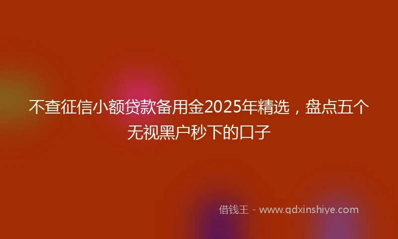 不查征信小额贷款备用金2025年精选，盘点五个无视黑户秒下的口子