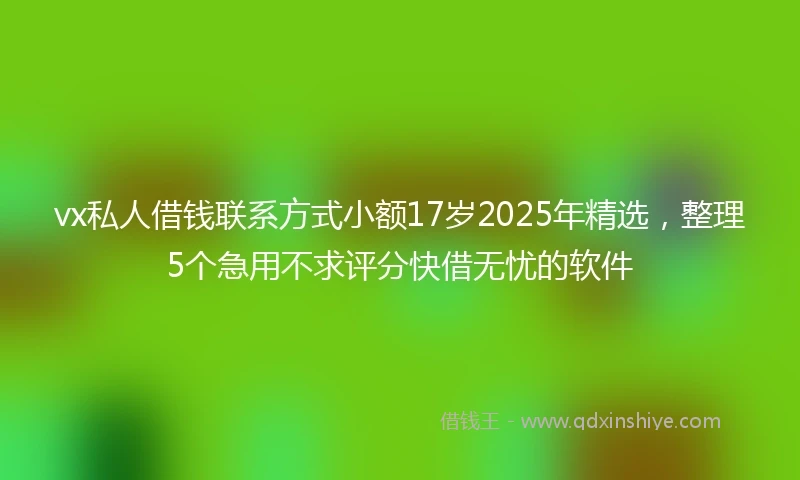 vx私人借钱联系方式小额17岁2025年精选，整理5个急用不求评分快借无忧的软件
