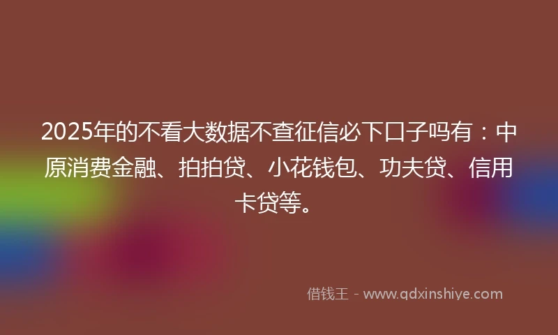2025年的不看大数据不查征信必下口子吗有：中原消费金融、拍拍贷、小花钱包、功夫贷、信用卡贷等。