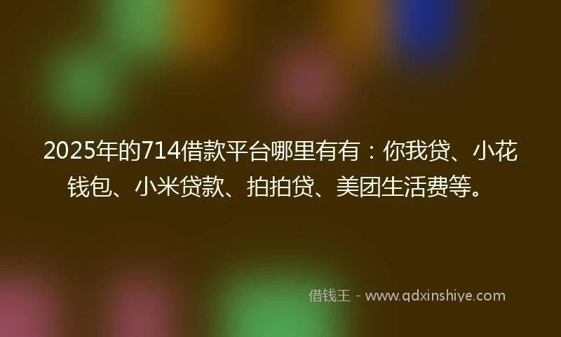 2025年的714借款平台哪里有有：你我贷、小花钱包、小米贷款、拍拍贷、美团生活费等。