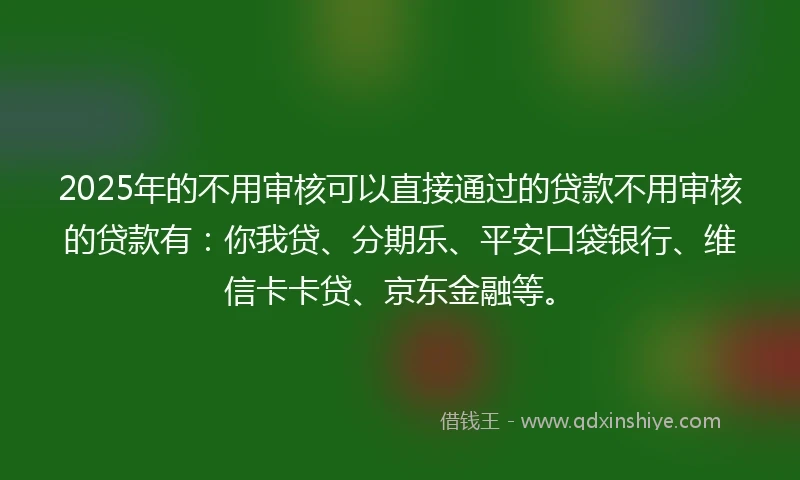 2025年的不用审核可以直接通过的贷款不用审核的贷款有：你我贷、分期乐、平安口袋银行、维信卡卡贷、京东金融等。