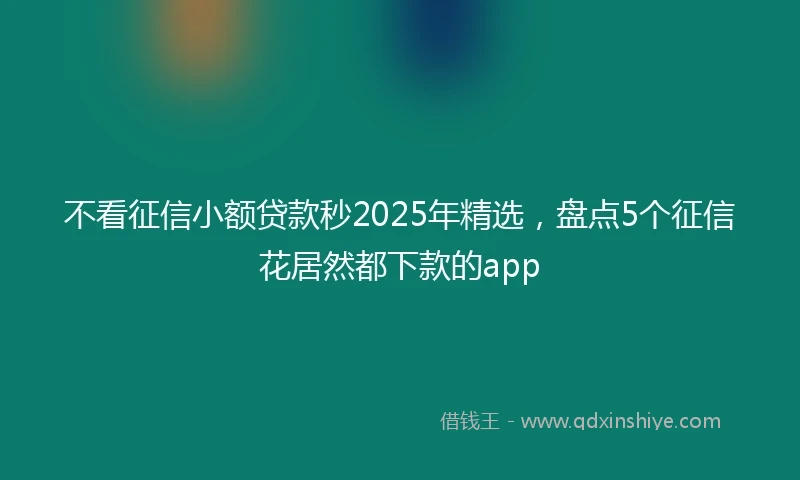 不看征信小额贷款秒2025年精选，盘点5个征信花居然都下款的app