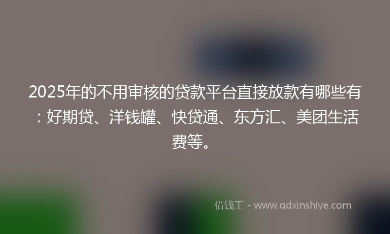 2025年的不用审核的贷款平台直接放款有哪些有：好期贷、洋钱罐、快贷通、东方汇、美团生活费等。