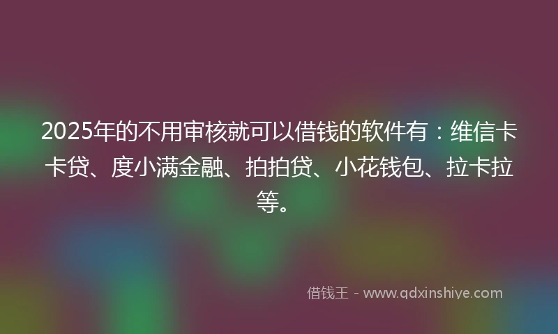 2025年的不用审核就可以借钱的软件有：维信卡卡贷、度小满金融、拍拍贷、小花钱包、拉卡拉等。