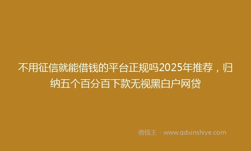 不用征信就能借钱的平台正规吗2025年推荐，归纳五个百分百下款无视黑白户网贷
