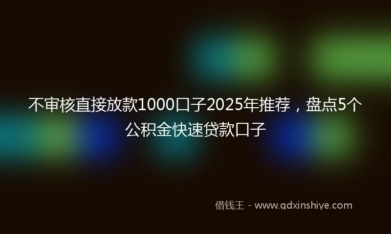 不审核直接放款1000口子2025年推荐,盘点5个公积金快速贷款口子