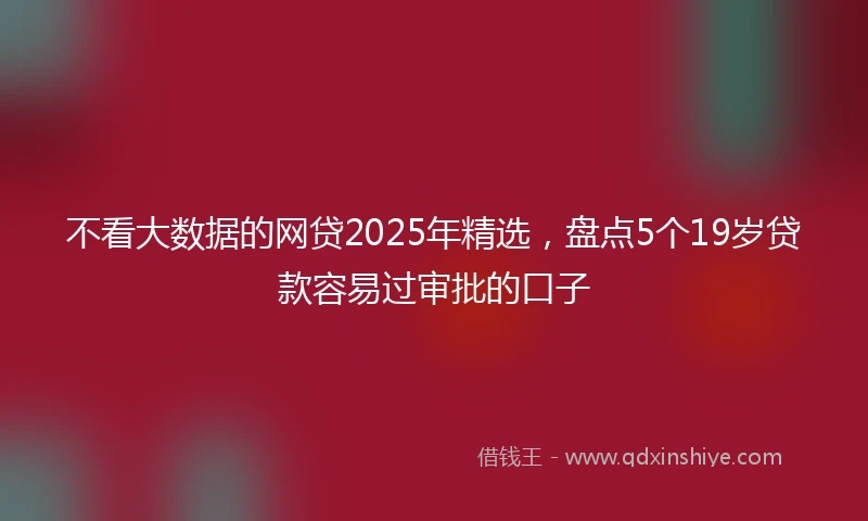 不看大数据的网贷2025年精选，盘点5个19岁贷款容易过审批的口子