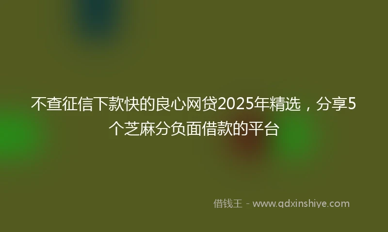 不查征信下款快的良心网贷2025年精选，分享5个芝麻分负面借款的平台