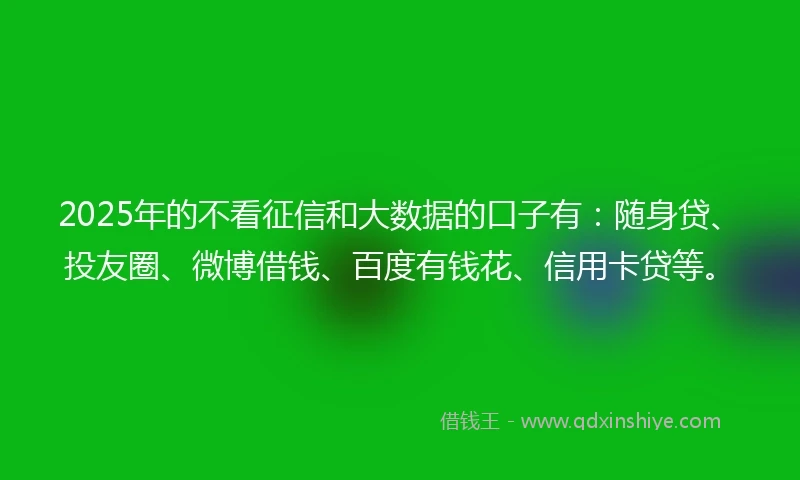 2025年的不看征信和大数据的口子有：随身贷、投友圈、微博借钱、百度有钱花、信用卡贷等。