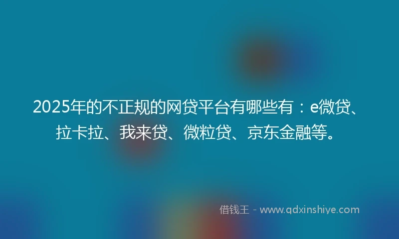 2025年的不正规的网贷平台有哪些有：e微贷、拉卡拉、我来贷、微粒贷、京东金融等。