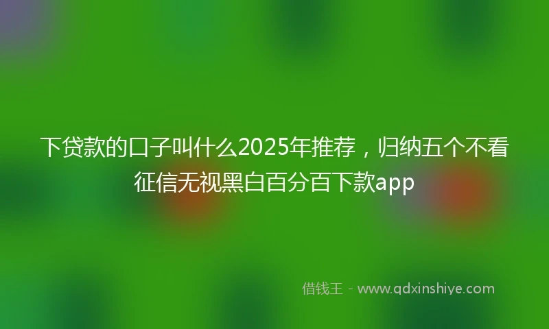 下贷款的口子叫什么2025年推荐，归纳五个不看征信无视黑白百分百下款app