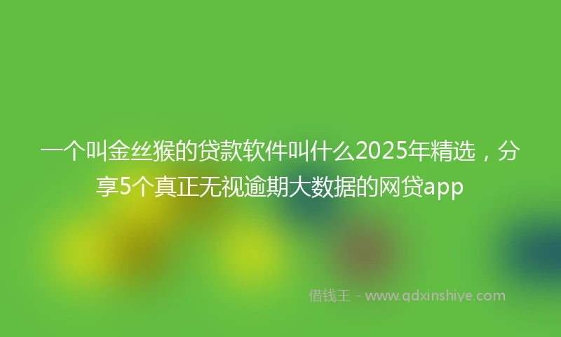 一个叫金丝猴的贷款软件叫什么2025年精选，分享5个真正无视逾期大数据的网贷app