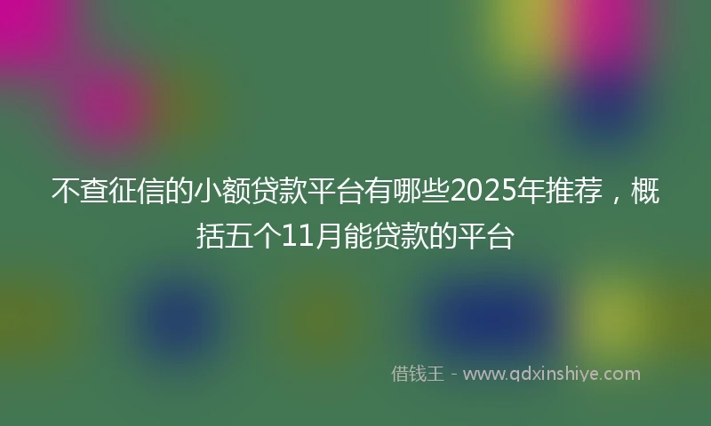 不查征信的小额贷款平台有哪些2025年推荐，概括五个11月能贷款的平台