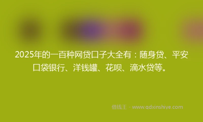 2025年的一百种网贷口子大全有：随身贷、平安口袋银行、洋钱罐、花呗、滴水贷等。