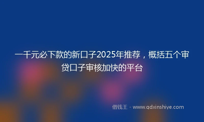 一千元必下款的新口子2025年推荐，概括五个审贷口子审核加快的平台