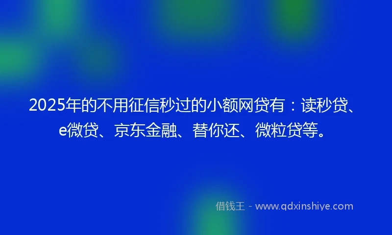 2025年的不用征信秒过的小额网贷有：读秒贷、e微贷、京东金融、替你还、微粒贷等。