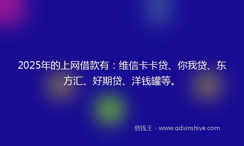 2025年的上网借款有：维信卡卡贷、你我贷、东方汇、好期贷、洋钱罐等。