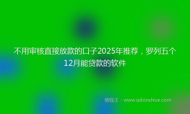 不用审核直接放款的口子2025年推荐，罗列五个12月能贷款的软件