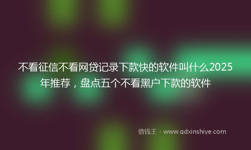不看征信不看网贷记录下款快的软件叫什么2025年推荐，盘点五个不看黑户下款的软件