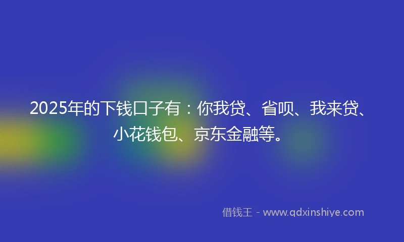 2025年的下钱口子有：你我贷、省呗、我来贷、小花钱包、京东金融等。