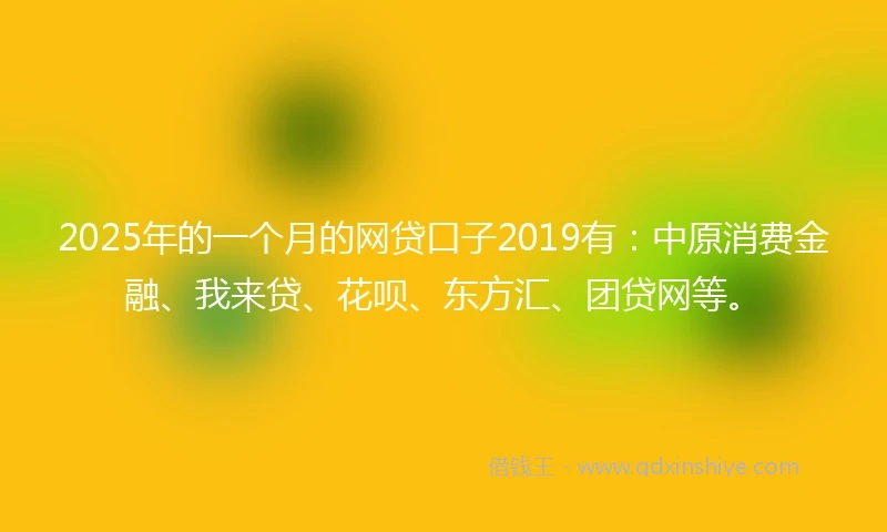 2025年的一个月的网贷口子2019有：中原消费金融、我来贷、花呗、东方汇、团贷网等。