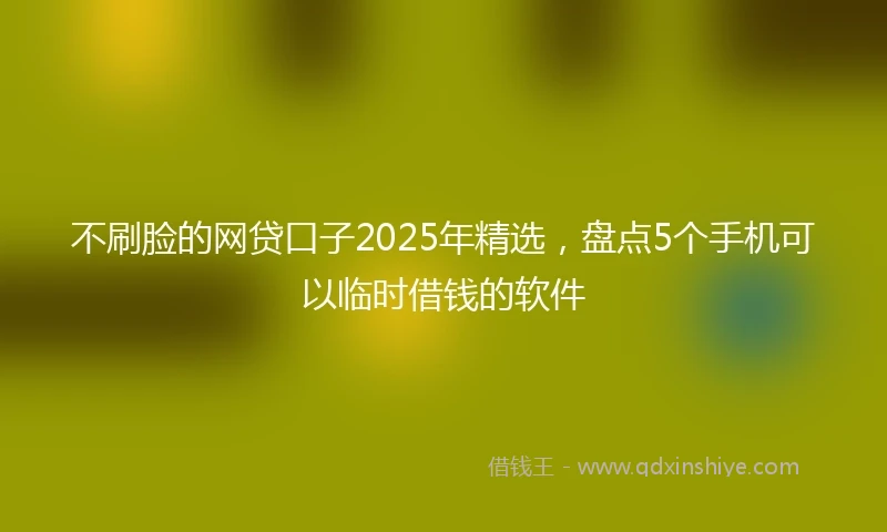 不刷脸的网贷口子2025年精选,盘点5个手机可以临时借钱的软件